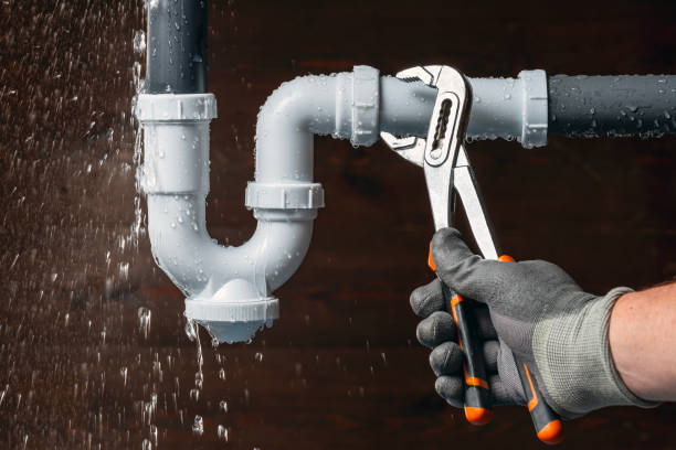 Professional Plumbing technician working in Columbiaville, MI